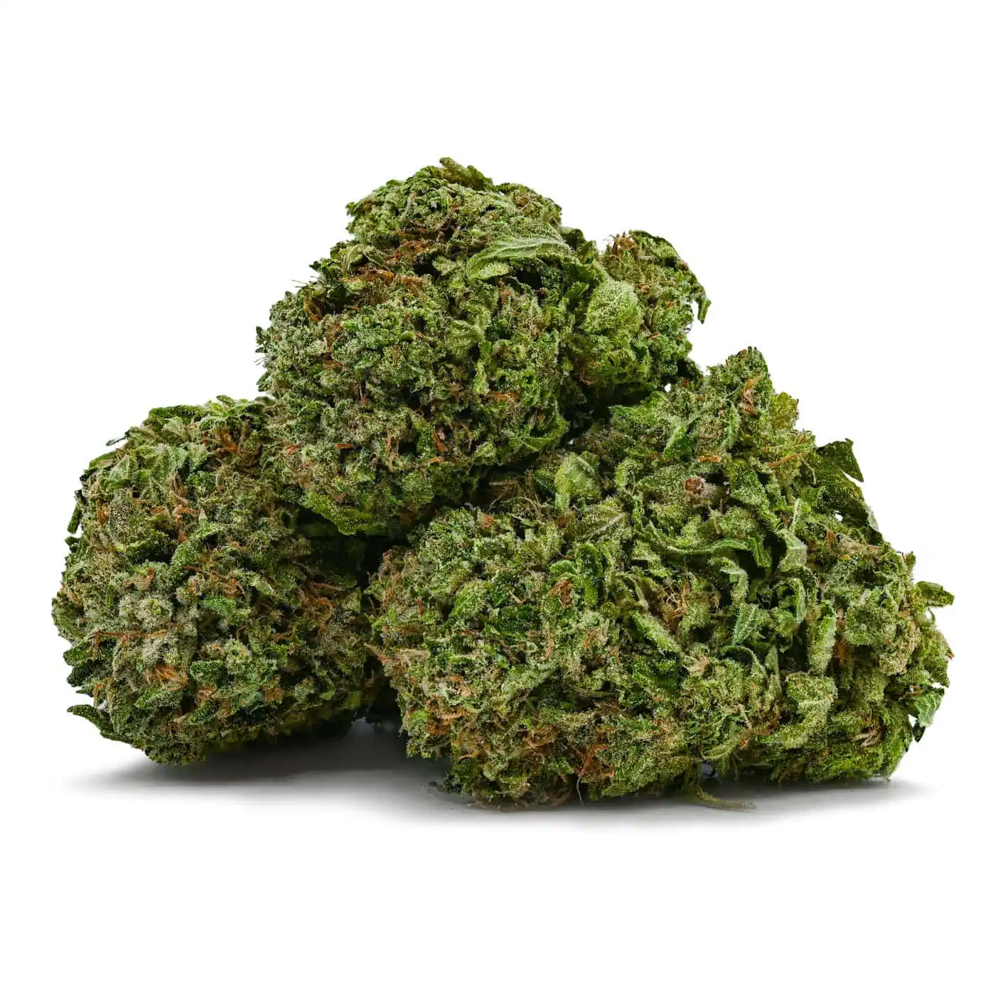 Comatose OG - Image 3