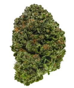 Gangster OG