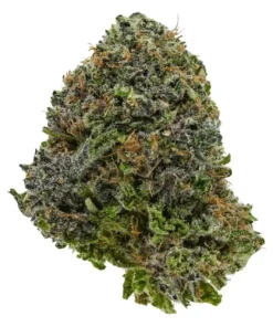 Alternative view of Green Crack
