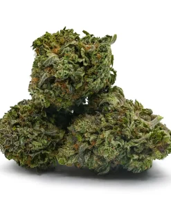 Hindu Kush