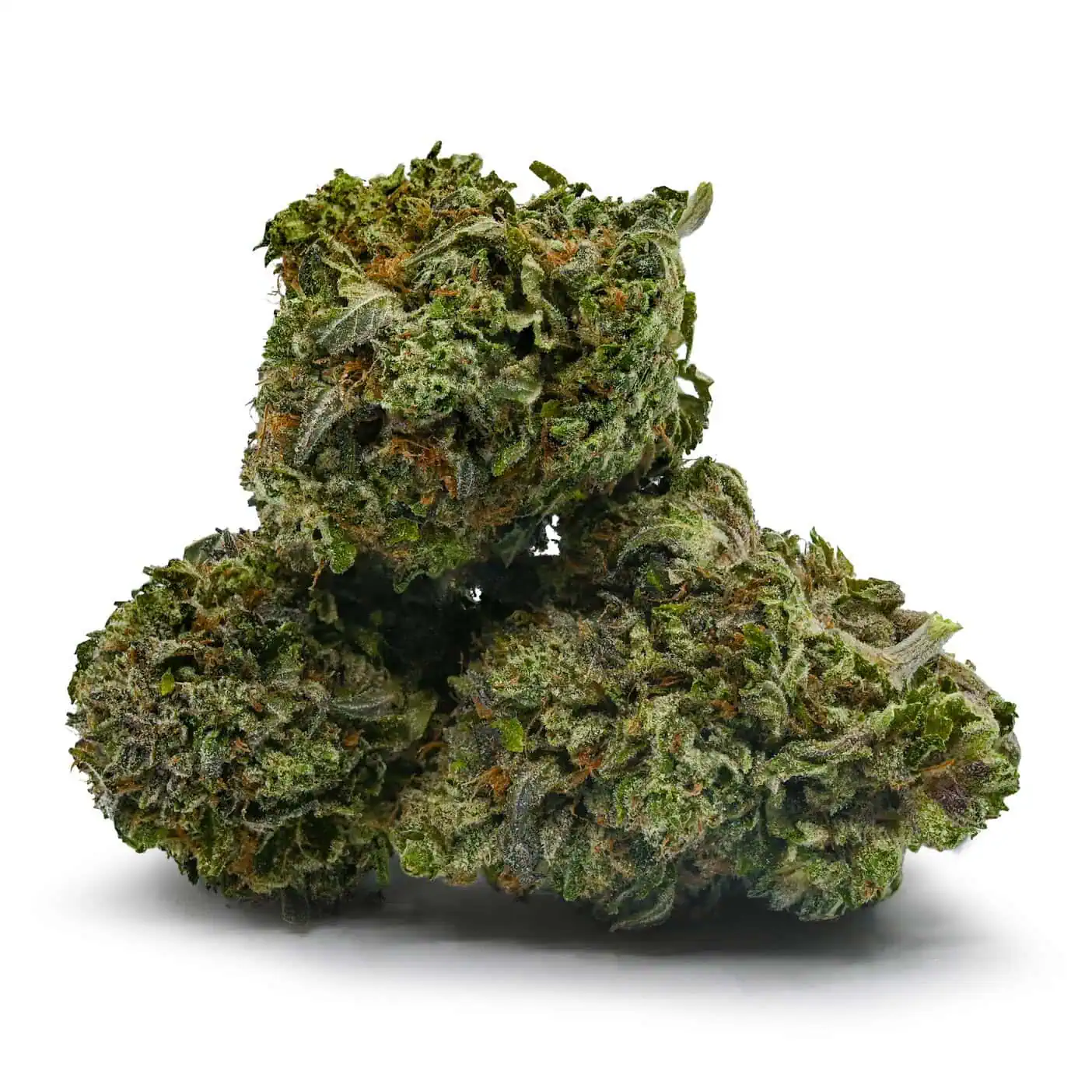 Hindu Kush