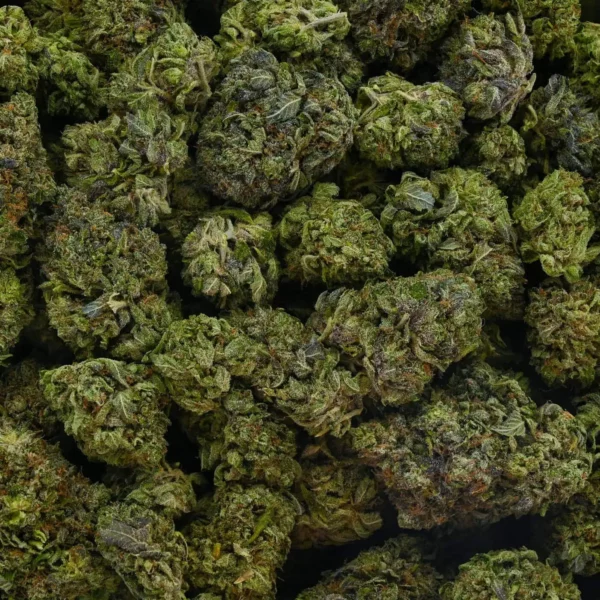 Hindu Kush - Image 2