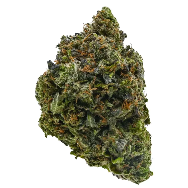 Hindu Kush - Image 4