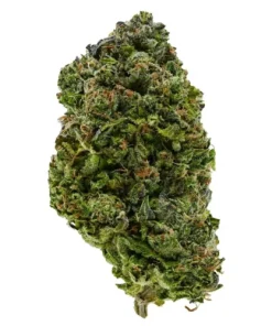Master OG