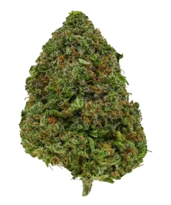 Alternative view of Orange Crush