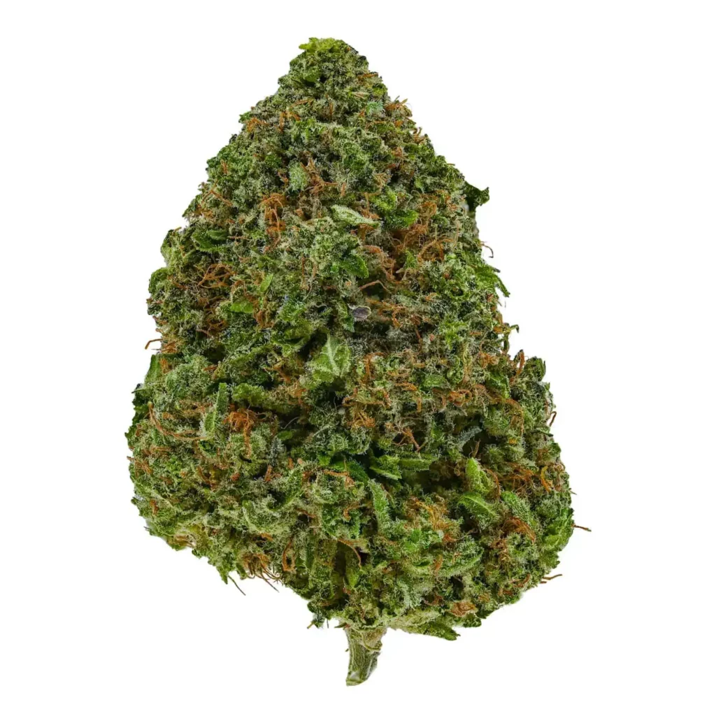 Orange Crush - Image 2