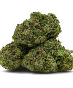 Orange Crush