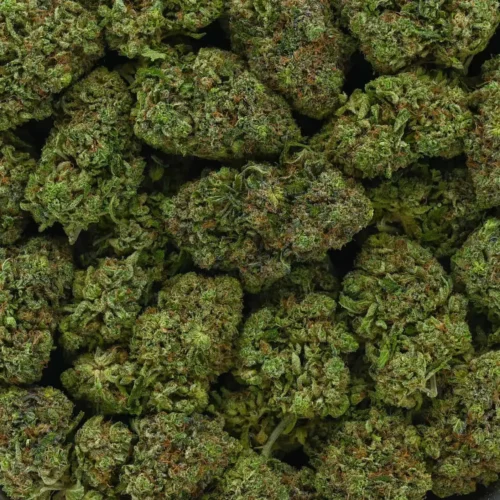 Orange Crush - Image 4