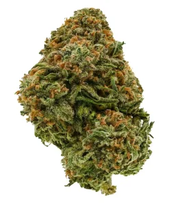 Pineapple Diesel