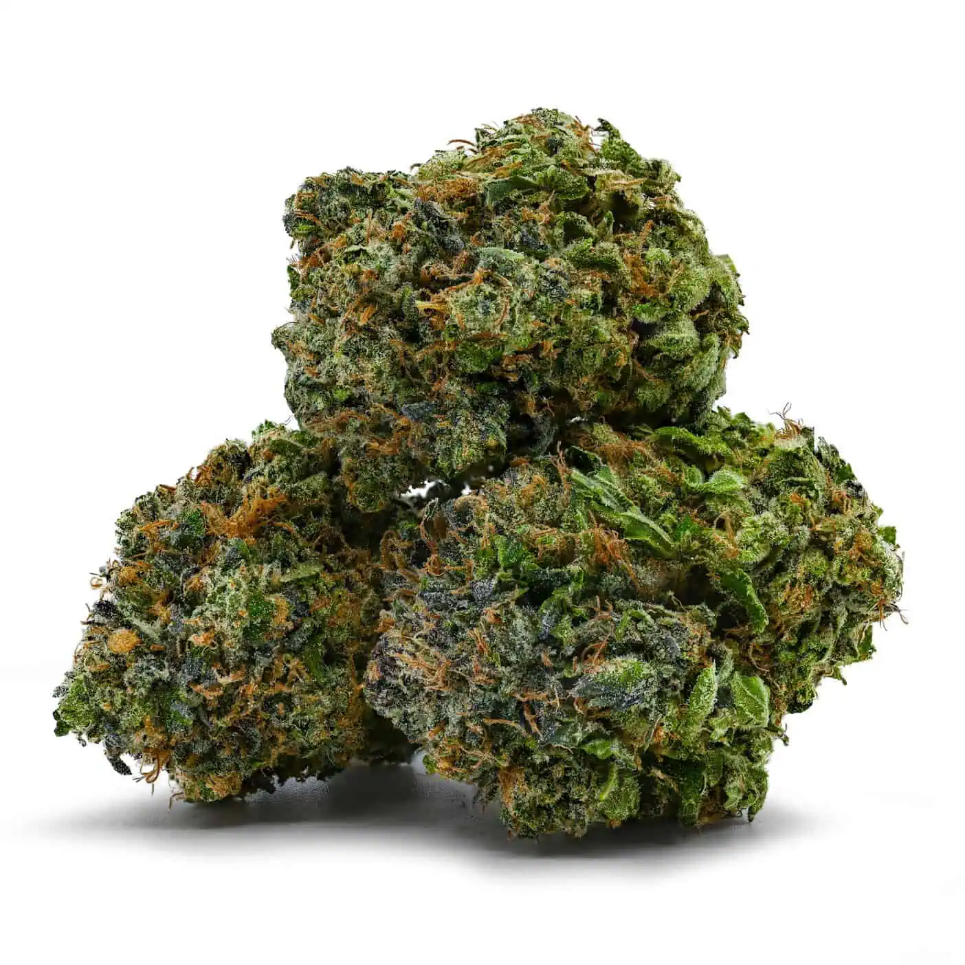 West Coast Bubba - Image 3