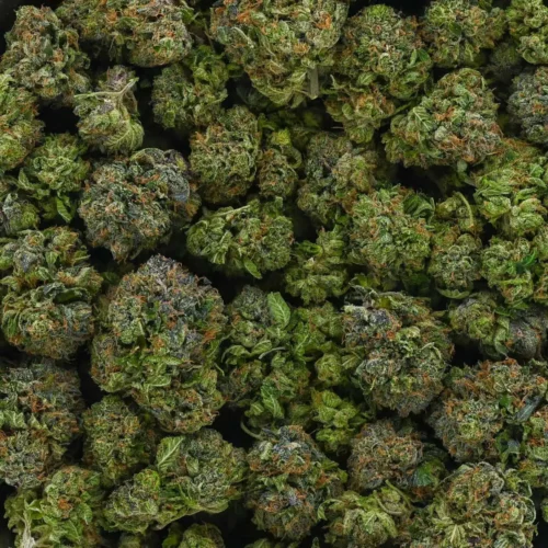 West Coast Bubba - Image 4
