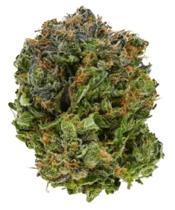 West Coast Bubba