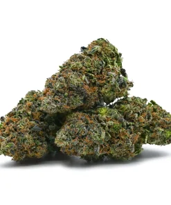 Afghan Kush