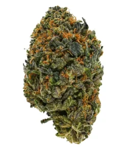Alien Bubba