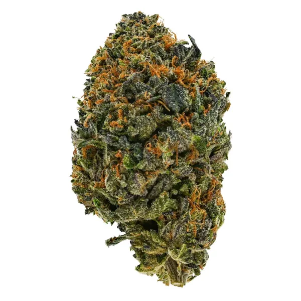 Alien Bubba