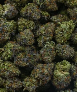 Ghost OG