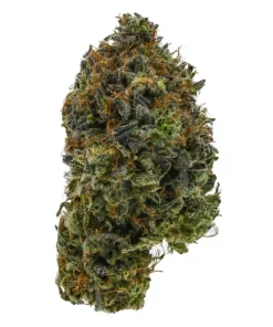Alternative view of Ghost OG