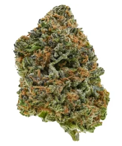 Lava Cake