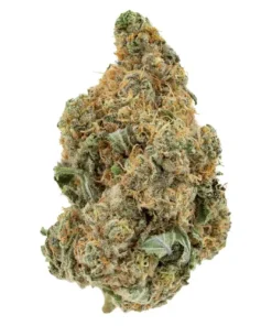 Lemon Sour Diesel