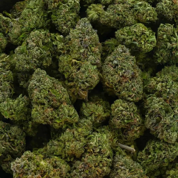 Master Kush - Image 4