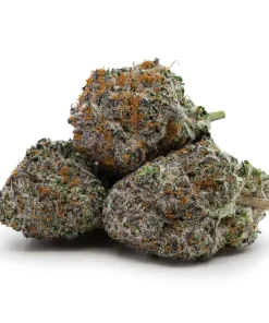 Purple Crack