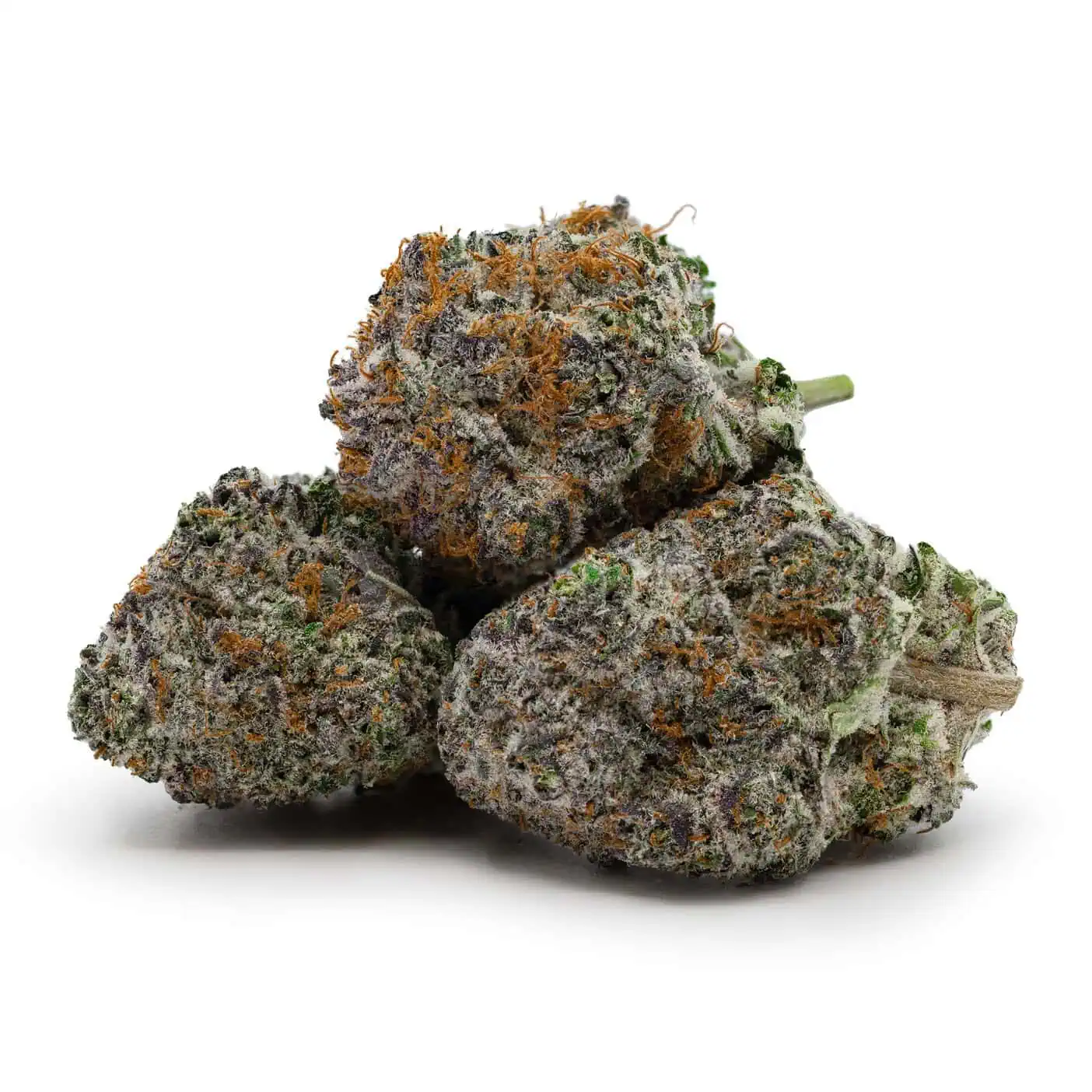 Purple Crack