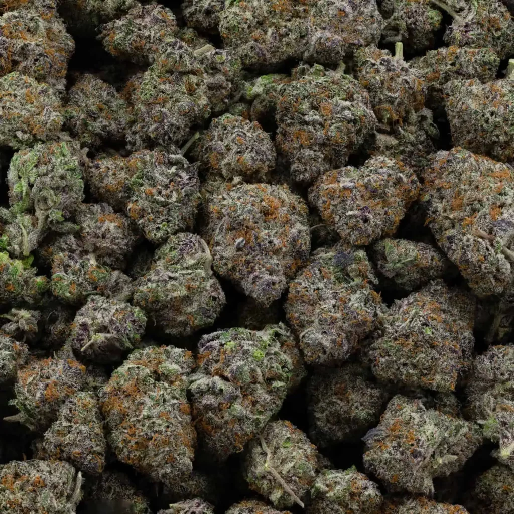 Purple Crack - Image 4