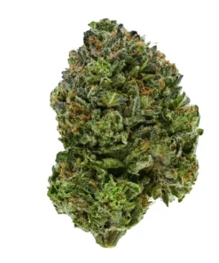 Pre 98 Bubba