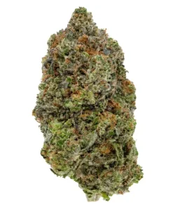 Alternative view of El Chapo OG