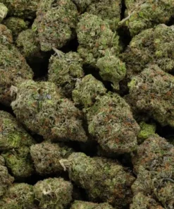 El Chapo OG