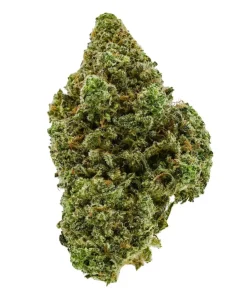 Sour Watermelon Haze