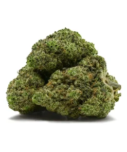 Alternative view of Sour Watermelon Haze